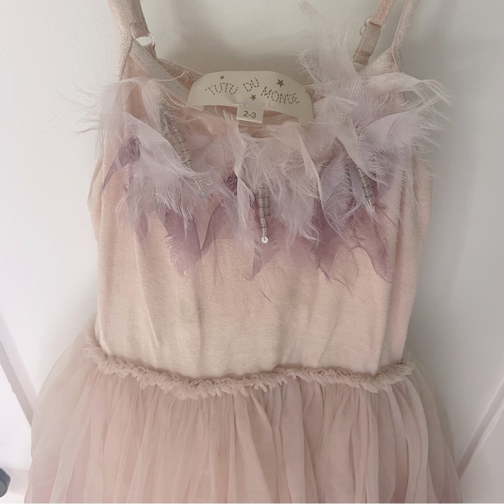 Tutu Du Monde Tulle Dress
